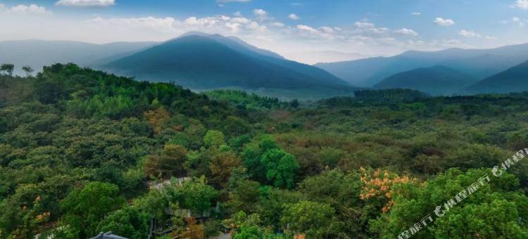 宜兴龙隐静园艺术家民宿(龙池山景区店)图片