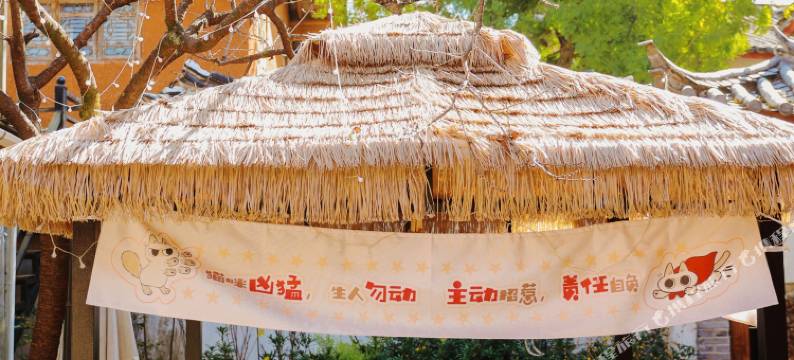 丽江树屋雪山观景客栈(束河古镇店)图片