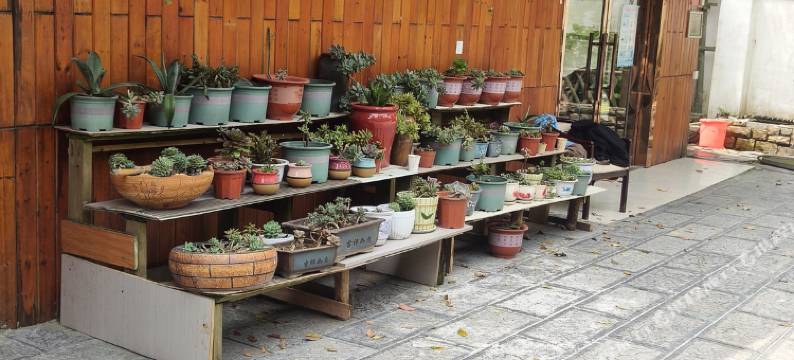 张家界小晞客栈图片