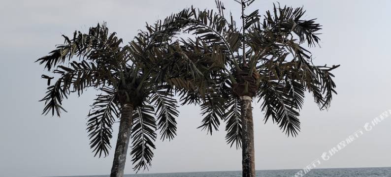 北戴河陈玉香家庭旅馆图片