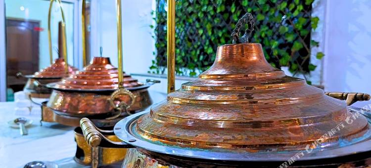 维杰豪华酒店(Hotel Vijay Deluxe)图片