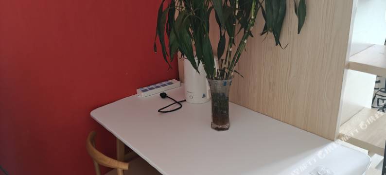 星期天青年旅舍图片