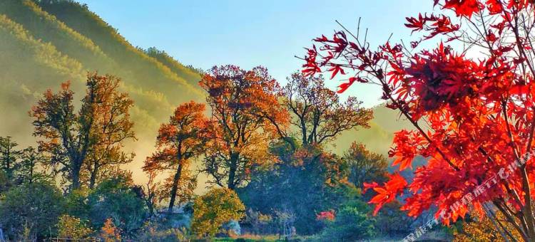 婺源石城赏枫人家(石城红枫叶景区店)图片