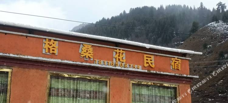 格桑花民宿(格聂则巴店)图片