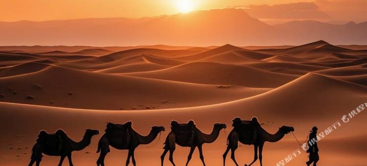 星星城堡沙漠露营酒店图片