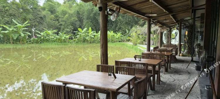 大新明仕阿树院子民宿图片