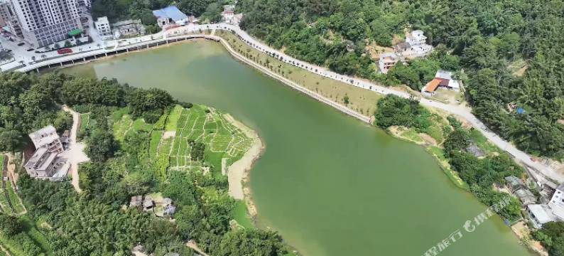 大全富悦酒店(云浮郁南店)图片