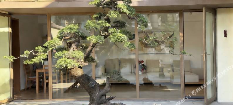 雨打芭蕉花园别墅(西双版纳景洪市万科曼西缇店)图片