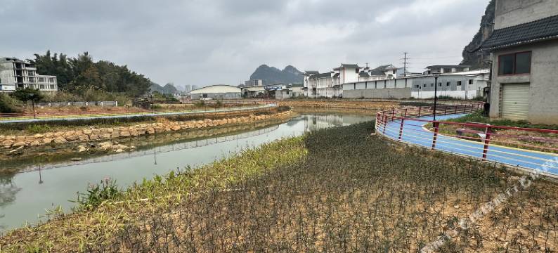 阿桐穆民宿图片