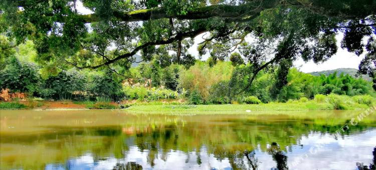 静夜诗民宿(云水谣景区店)图片