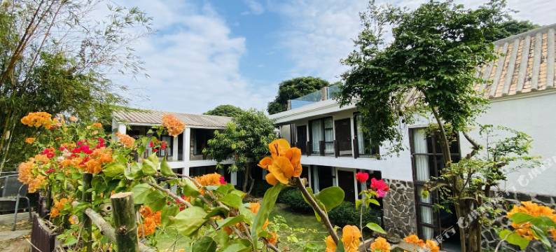 涠洲岛朴予·观季酒店图片