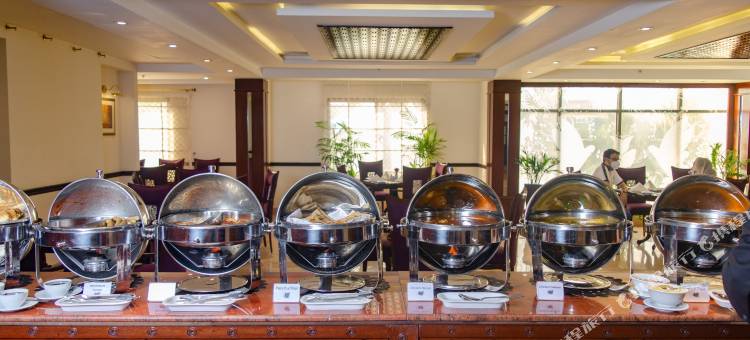 伊斯兰堡富豪酒店(Islamabad Regalia Hotel)图片