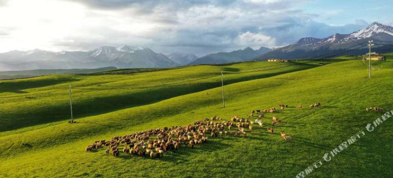 琼库什台四美营地图片