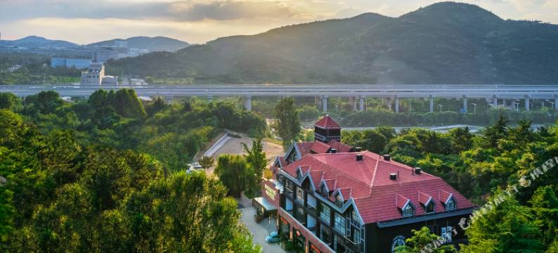 忙碌的考拉·Weeknd Hotel图片