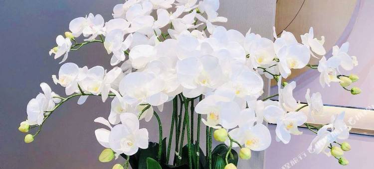 如家酒店·neo(大连金石滩轻轨车站发现王国店)图片