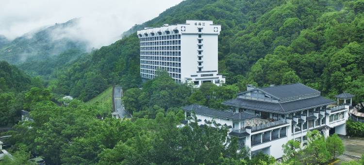 新丰云天海温泉原始森林度假村图片