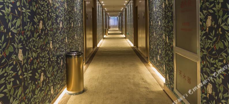 栾川雅苑大酒店(老君山店)图片