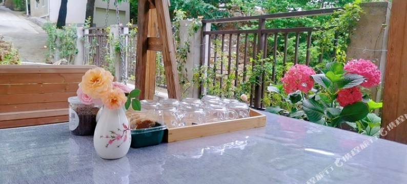 一朵牡丹小院图片