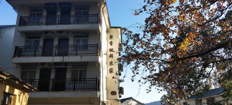 杭州聚香枫群农家图片