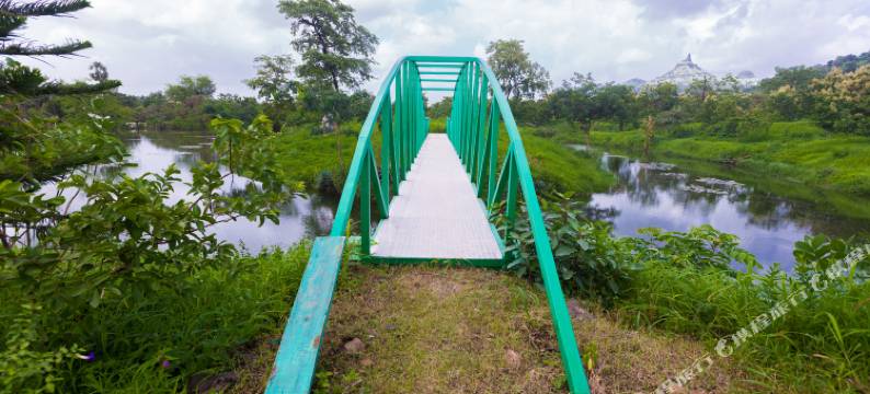 谢提农场(Shetty Farms)图片