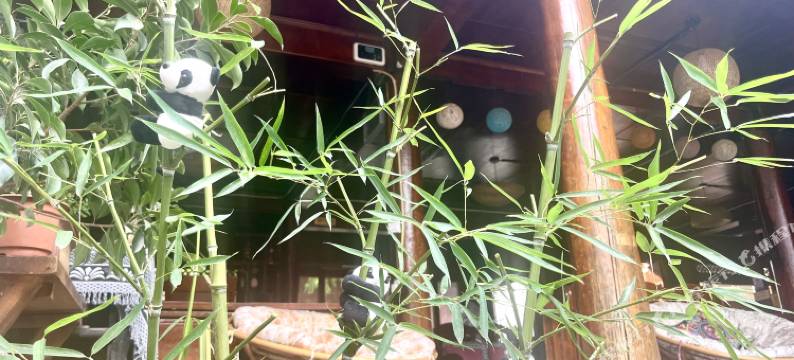 竹坞清客栈(丽江古城木府店)图片