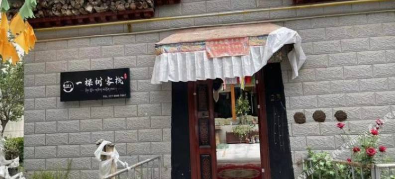 拉萨一棵树客栈图片