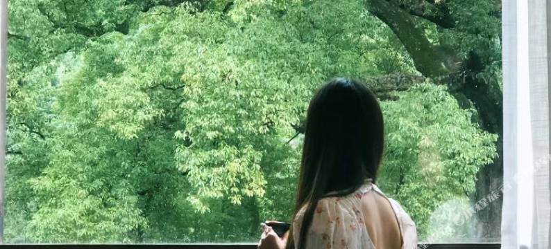 丽水古樟水桥民宿图片