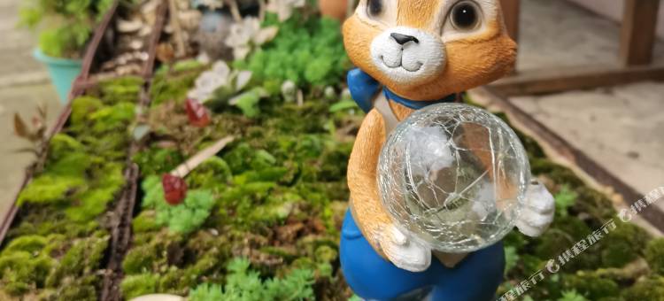 桐庐悦赢楼图片