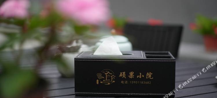 硕果小院(北京大兴国际机场店)图片