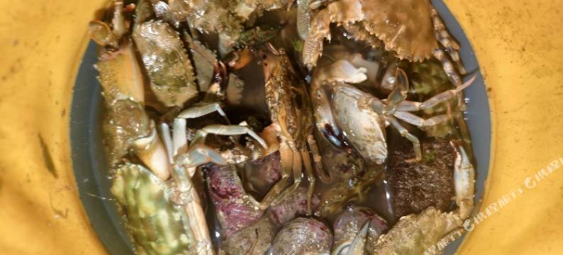 西岛海岛鱼夫民宿图片