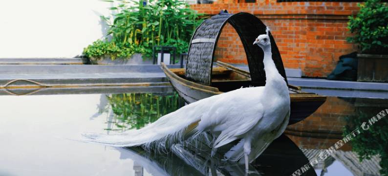 洛阳雲華里非遗艺术民宿(洛邑古城丽景门店)图片