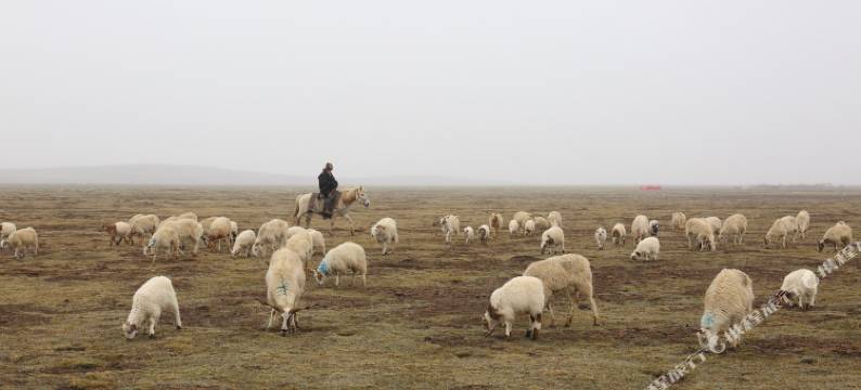 夏河·贤择云居图片