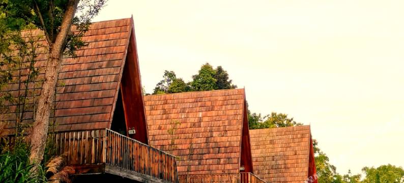 婺源树小蛙度假酒店图片