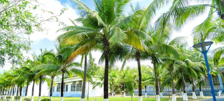 三亚大东海壹号酒店图片