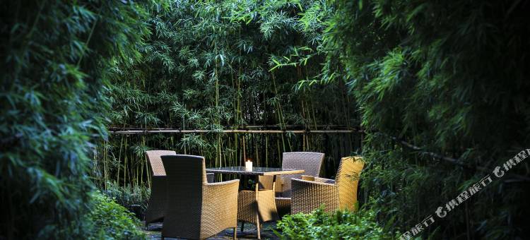 成都保利公园皇冠假日酒店(熊猫基地店)图片