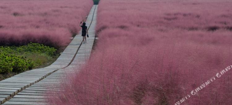 平湖智选假日酒店图片