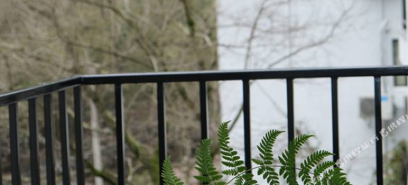 桐庐白云源山水民宿图片