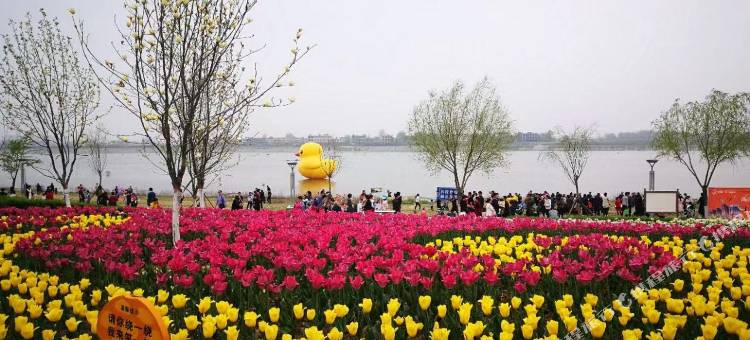 唐桐连锁酒店(新野店)图片