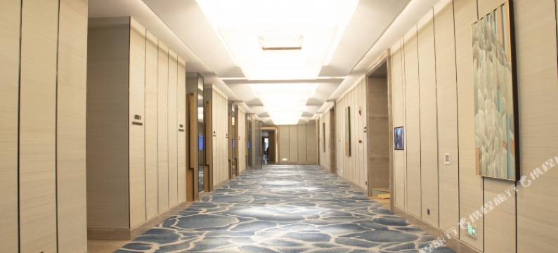 武汉江夏联投福朋喜来登酒店图片