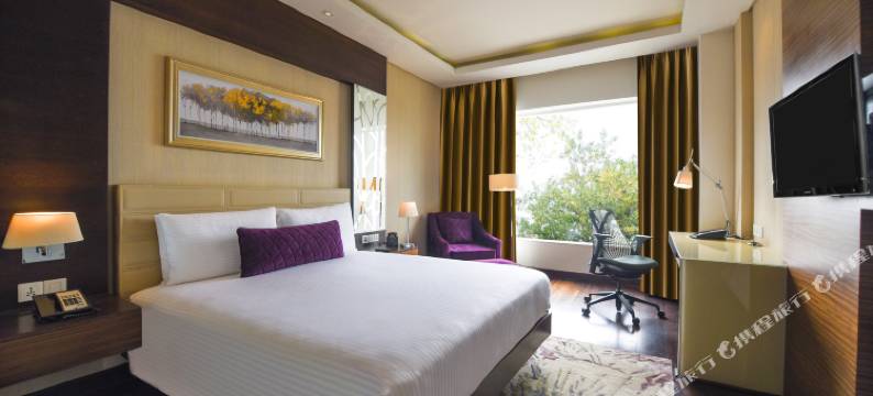 古尔冈巴尼广场希尔顿逸林酒店(DoubleTree by Hilton Gurugram Baani Square)图片