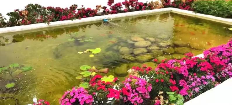 西安居木青酒店(建筑科技大学·李家村地铁站店)图片