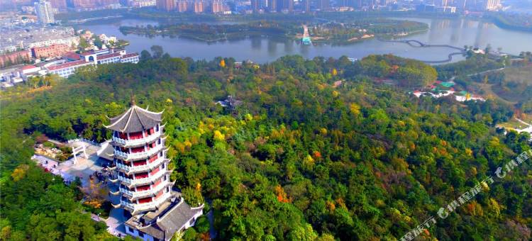 麦卡伦湖景智能民宿酒店(蚌埠张公山公园万达广场店)图片