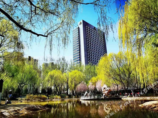 沧州金狮国际酒店