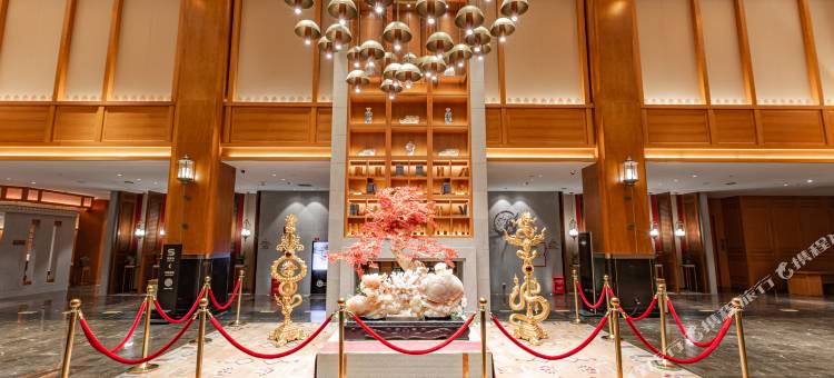 昌都通泰明宇丽呈酒店图片