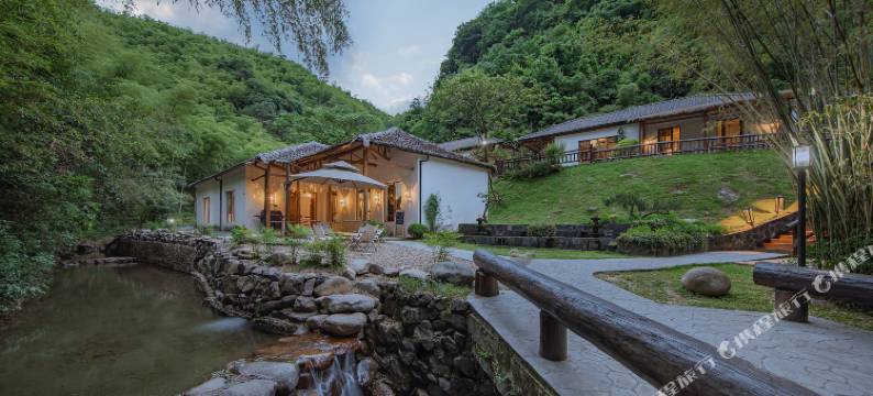 安吉无尘茗宿图片