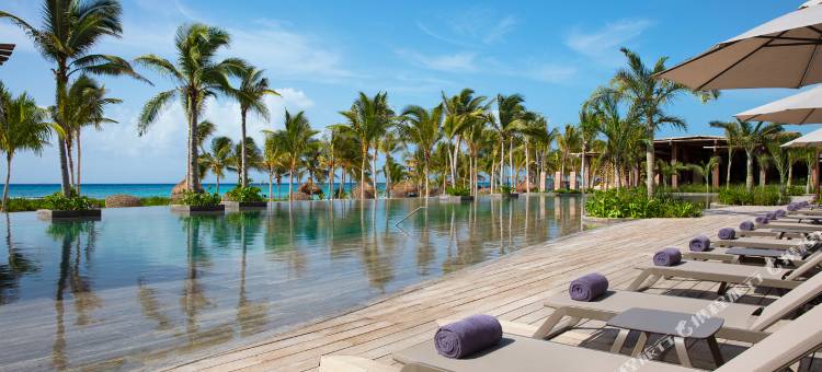 秘密莫西卡曼海滩成人全包度假村(Secrets Moxché Playa del Carmen - Adults Only - All Inclusive)图片