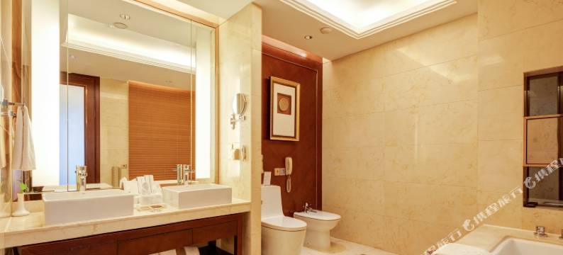 西安大唐西市酒店(高新西北工业大学地铁站)图片