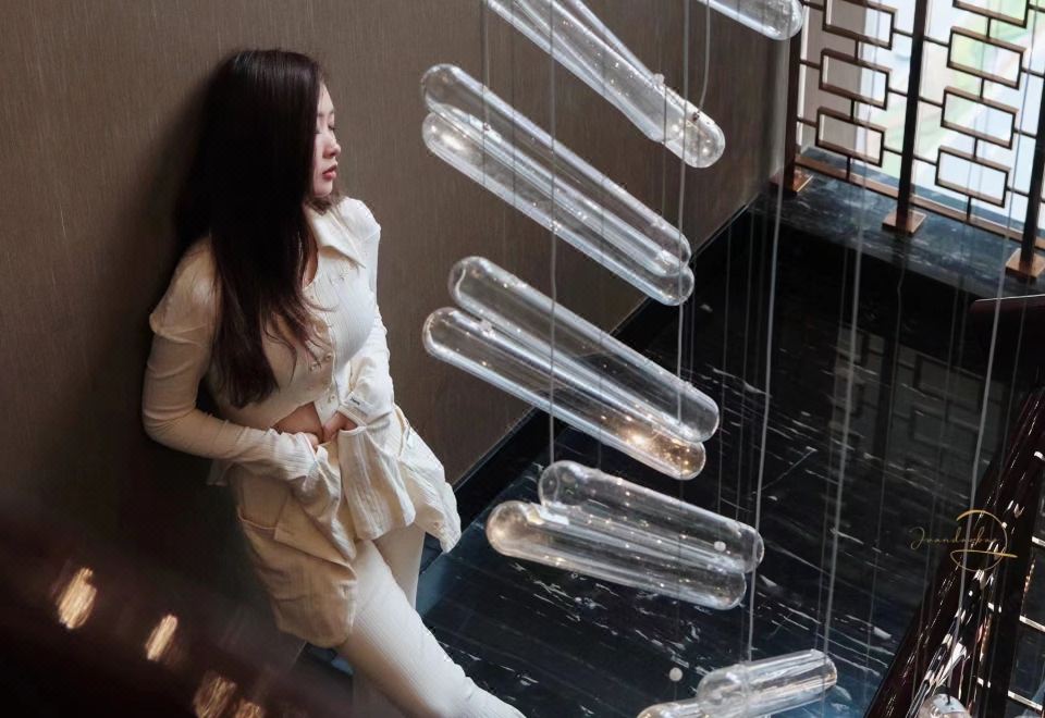 Fairmont The Palm HotelOver view