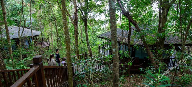 普洱小熊猫庄园图片