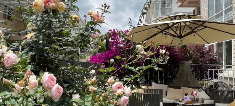 腾冲番茄树青年旅舍图片